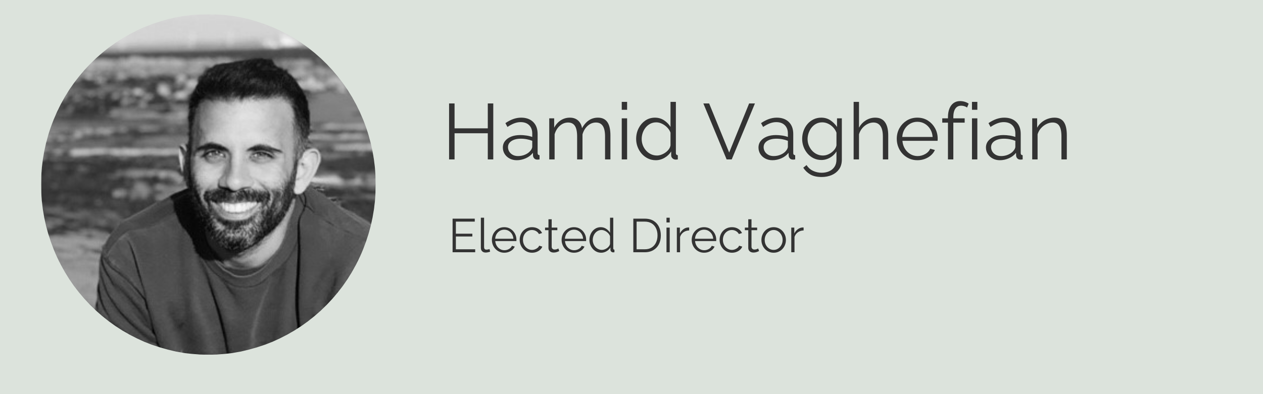 Hamid Vaghefian ()